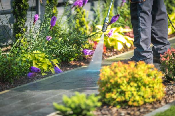 Best Parking Lot and Garage Cleaning  in Cartersville, GA